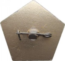 Нагрудный знак Пионерский Лагерь 