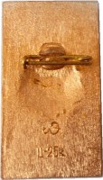 Нагрудный знак 30 Лет Победы. 1945-1975 