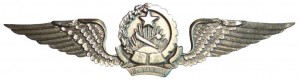 Badge Pilot 