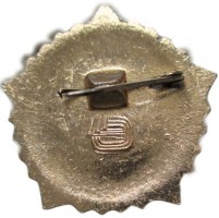 Badge  