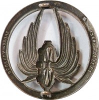 Нагрудный знак Железнодорожные войска 