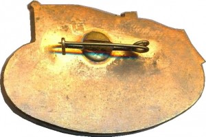 Badge  