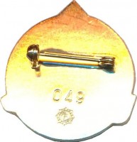 Нагрудный знак Ледокол 