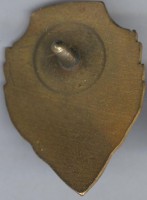 Badge Eacellent gunner 