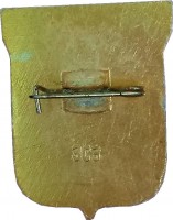 Нагрудный знак Облсовет ДСО 