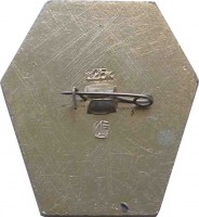 Нагрудный знак Феодосийский Военный Санаторий 