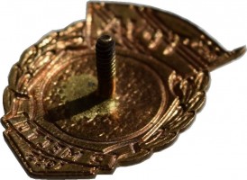 Badge  