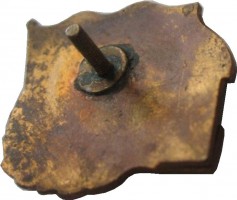 Badge  