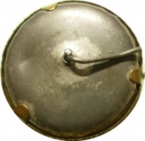 Нагрудный знак Сталин 