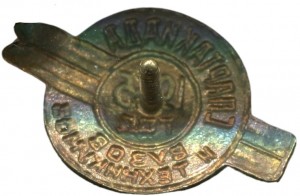 Badge  