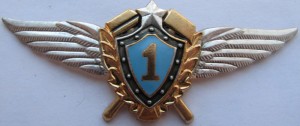 Badge Technician 1st class 