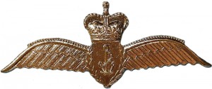 Нагрудный знак Пилот 