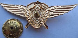 Badge Technician 1st class 