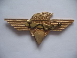 Нагрудный знак Летчик космонавт 2 класса 