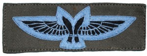 Badge Pilot 