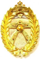 Нагрудный знак 6-ая Ленинградская Краснознаменная армия ВВС и ПВО 