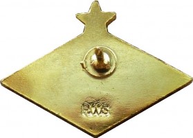 Нагрудный знак Футбольный клуб 