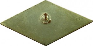 Нагрудный знак Футбольный клуб 