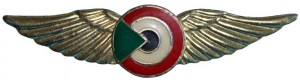 Нагрудный знак Летчик 