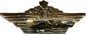 Нагрудный знак Специалист 2 класса 