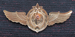 Нагрудный знак Специалист УНКС МО СССР 1 класса 