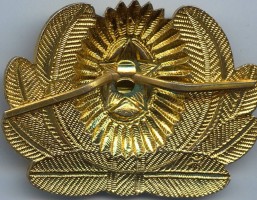 Badge Officer cap badge 