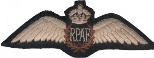Нагрудный знак Пилот  