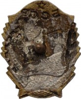 Нагрудный знак Отличник Кооперации Инвалидов Белорусской ССР 