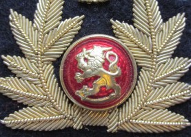 Нагрудный знак Кокарда ВВС 