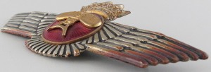 Badge Radar operator 