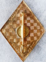 Badge 1st infantry regiment 