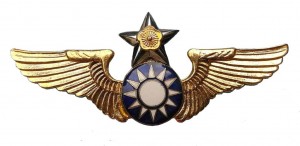 Badge Pilot 