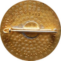 Badge 72 Artillery group 