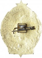 Badge  