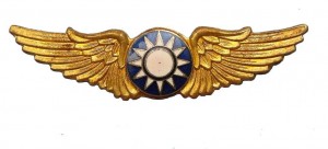 Badge Pilot 