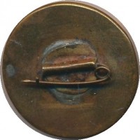 Нагрудный знак Сталин  
