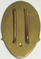 Нагрудный знак Парашютист 1 класса 