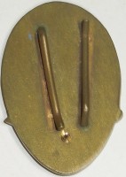 Нагрудный знак Парашютист 2 класса 