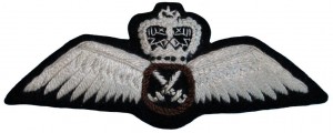 Нагрудный знак Летчик  