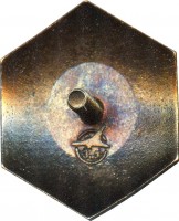 Badge  