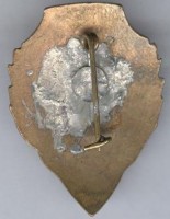 Нагрудный знак Отличный техник. МВД 