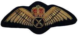 Нагрудный знак Летчик  