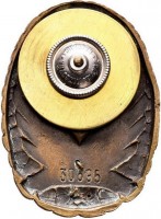 Нагрудный знак Парашютист, бронзовый 