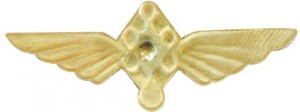 Нагрудный знак Пилот без класса 