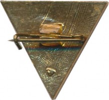 Нагрудный знак Ленинградский студенческий строительный отряд, 1985  