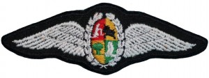 Нагрудный знак Летчик  