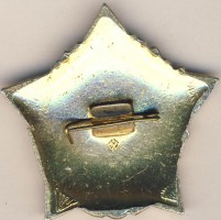 Нагрудный знак ВПВПКУ им. Ворошилова 