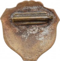 Badge  
