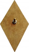 Нагрудный знак Университет Марксизма-Ленинизма 