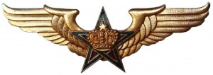 Нагрудный знак  Летчик  